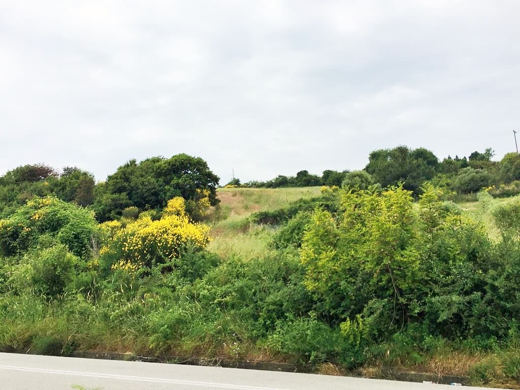 For Sale Land 12250 m² in Athos, Chalkidiki