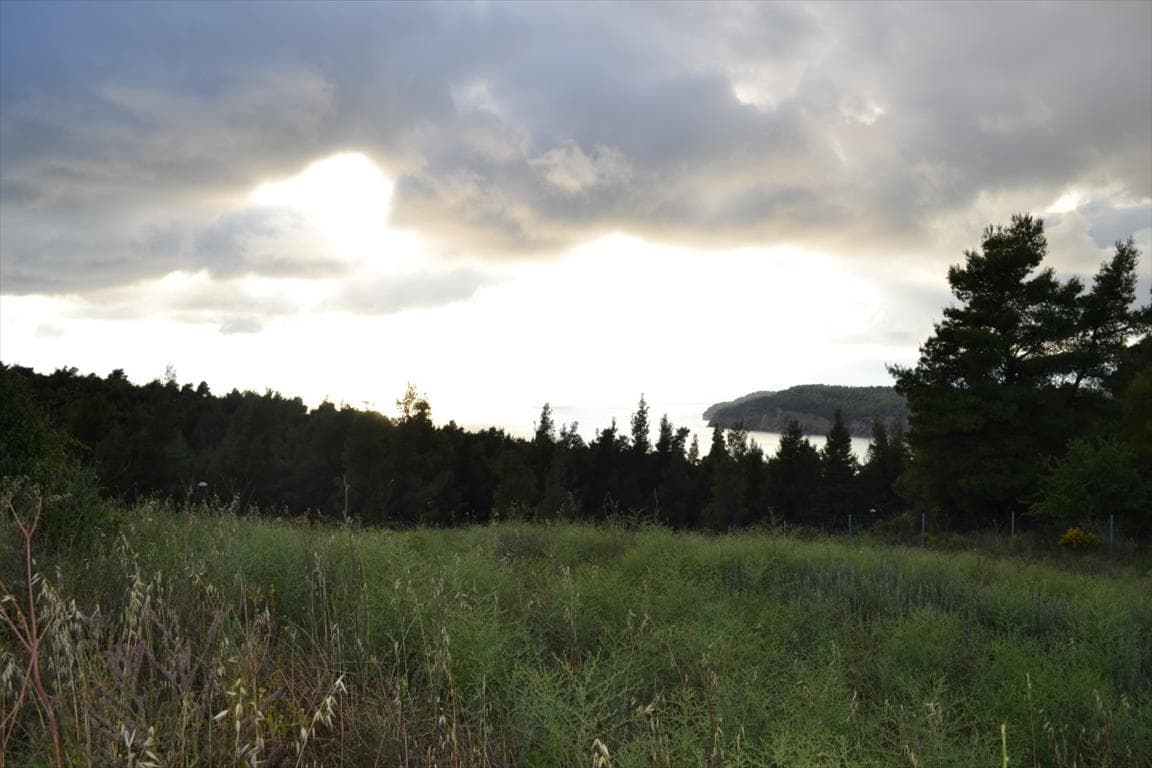 For Sale Land 5600 m² in Kassandra, Chalkidiki
