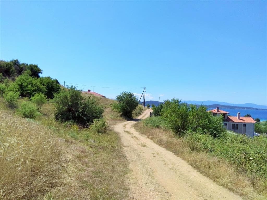 For Sale Land 13115 m² in Athos, Chalkidiki