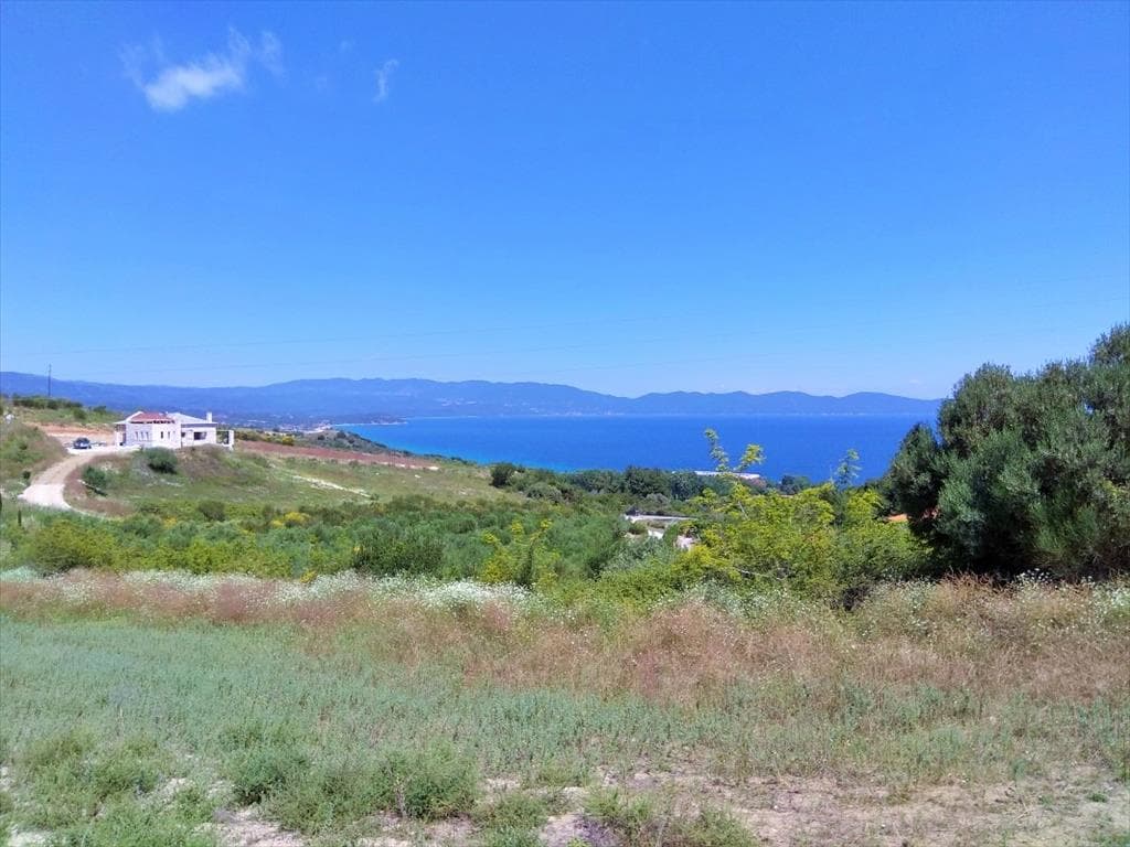 For Sale Land 11000 m² in Athos, Chalkidiki