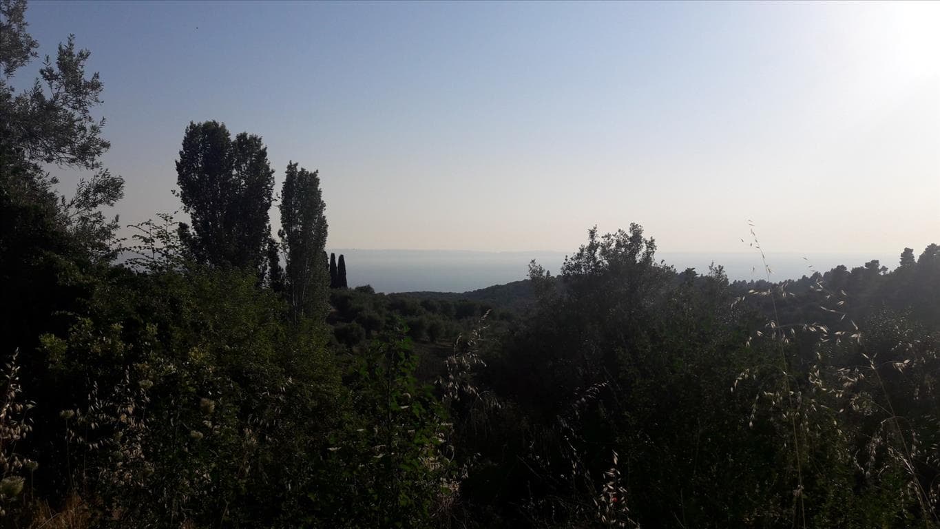 For Sale Land 1417 m² in Sithonia, Chalkidiki