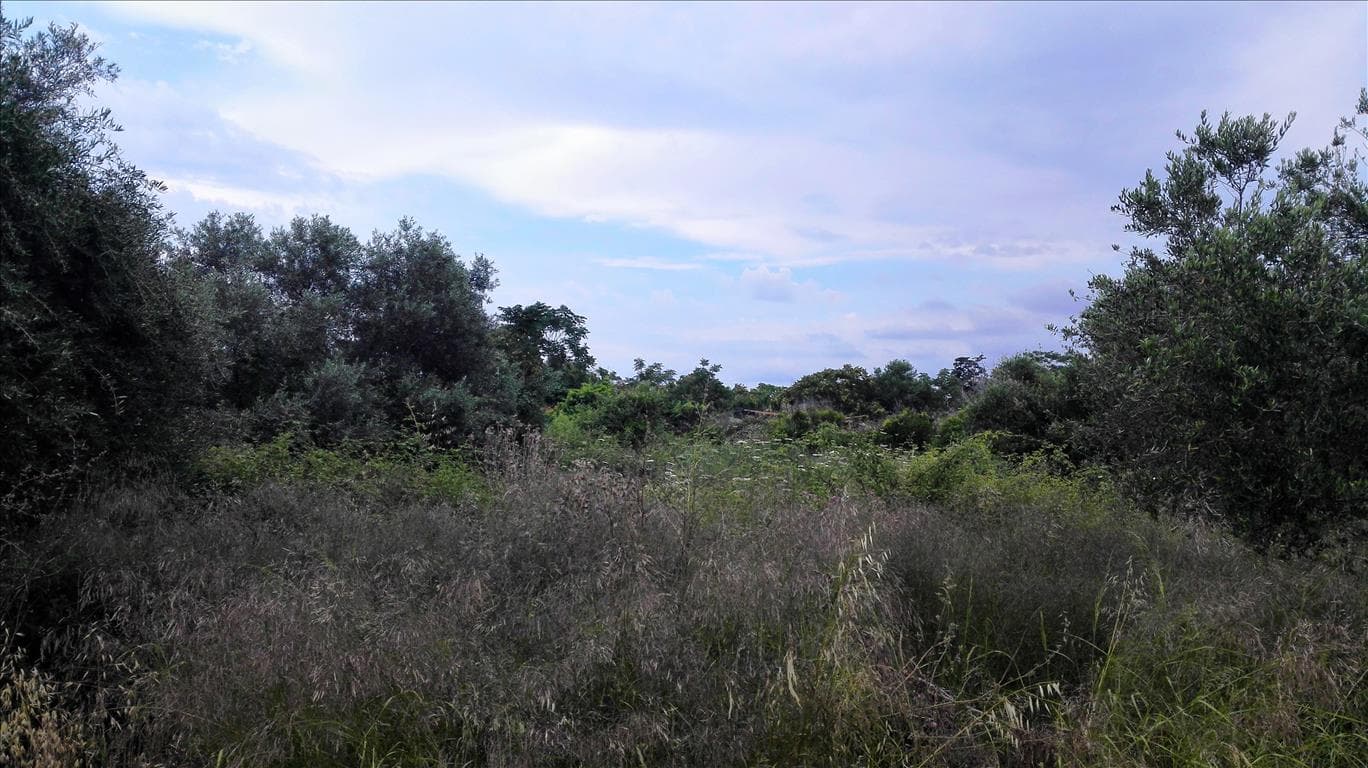 For Sale Land 400 m² in Crete