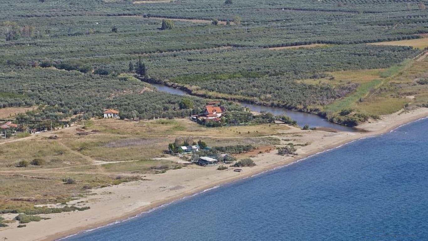 For Sale Land 4562 m² in Kassandra, Chalkidiki