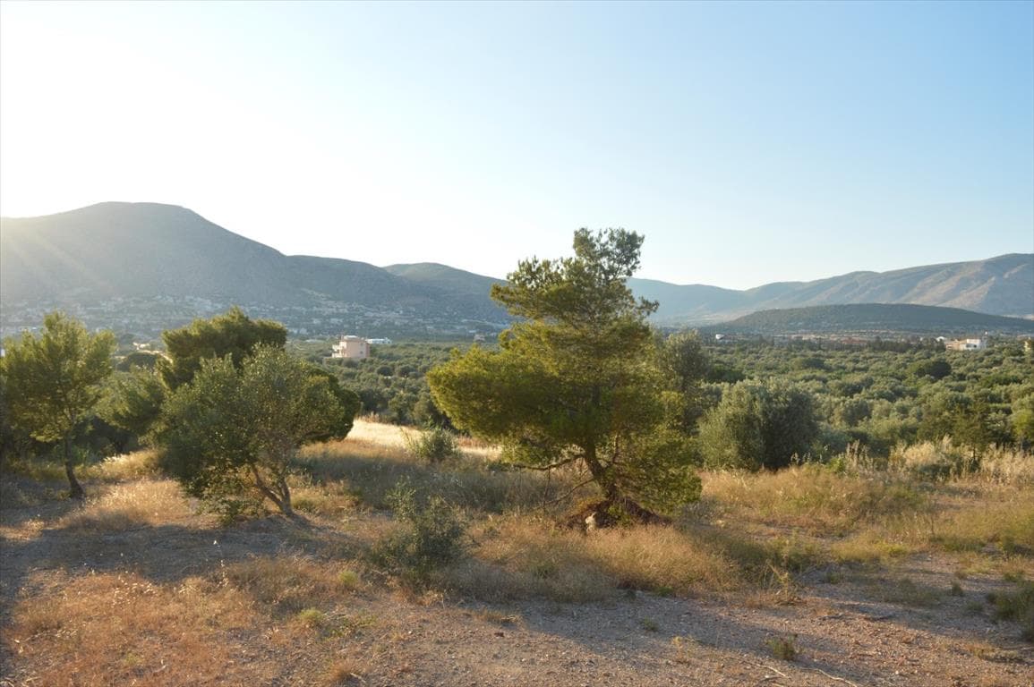 For Sale Land 12600 m² in Attica