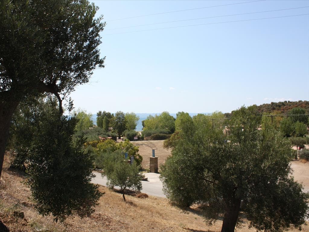 Spacious 2654 m² Plot with Building Permission in Sithonia