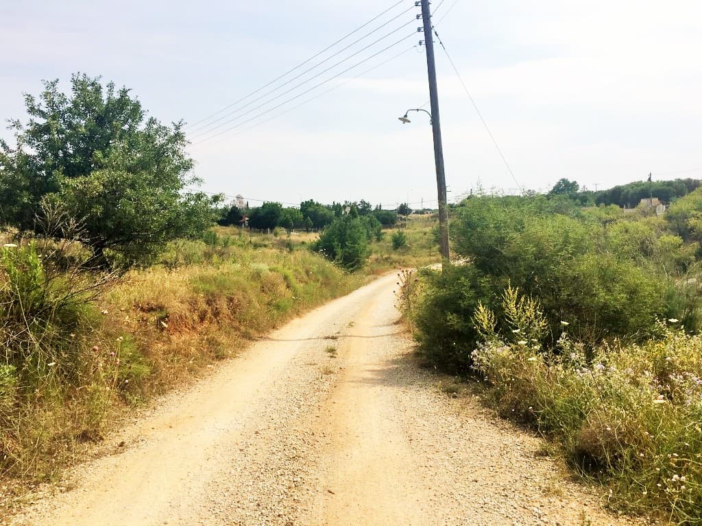 For Sale Land 4062 m² in Kassandra, Chalkidiki
