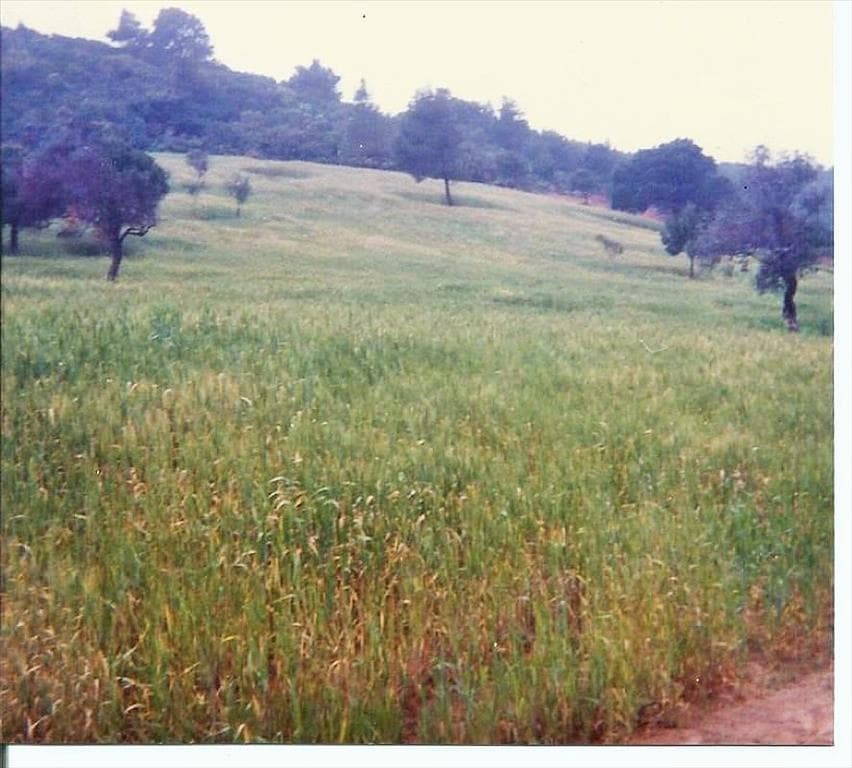 For Sale Land 93000 m² in Volos-Pilio
