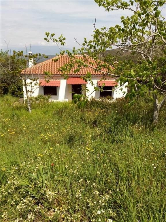 For Sale Detached house 60 m² in central Greece