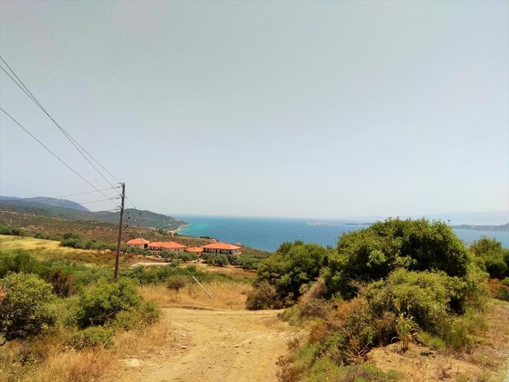 For Sale Land 10750 m² in Athos, Chalkidiki