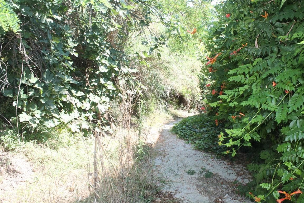 For Sale Land 200 m² in Kassandra, Chalkidiki
