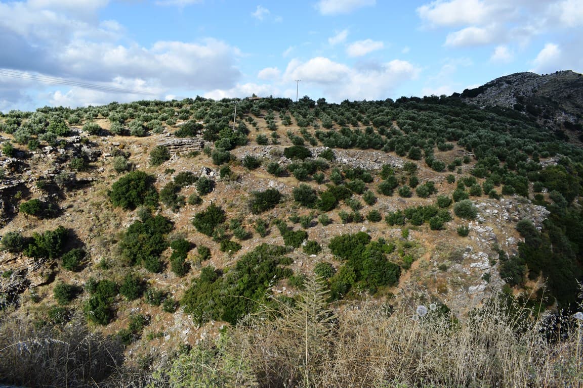 For Sale Land 43000 m² in Crete