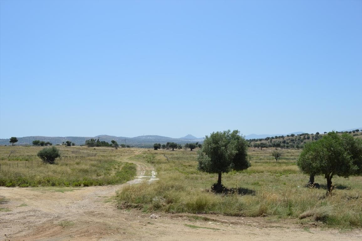 For Sale Land 1015 m² in Attica