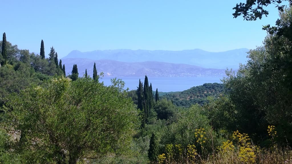 For Sale Land 1700 m² in Corfu
