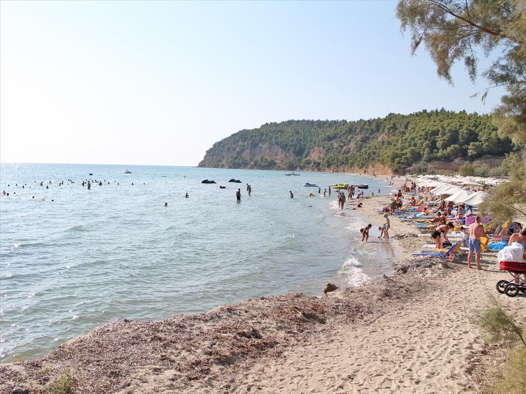 Spacious 4000 m² Plot in Kassandra, Chalkidiki