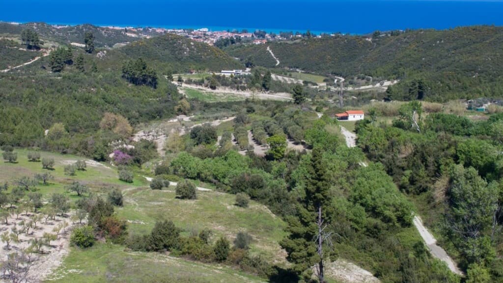 Large Building Plot in Kassandra, Chalkidiki