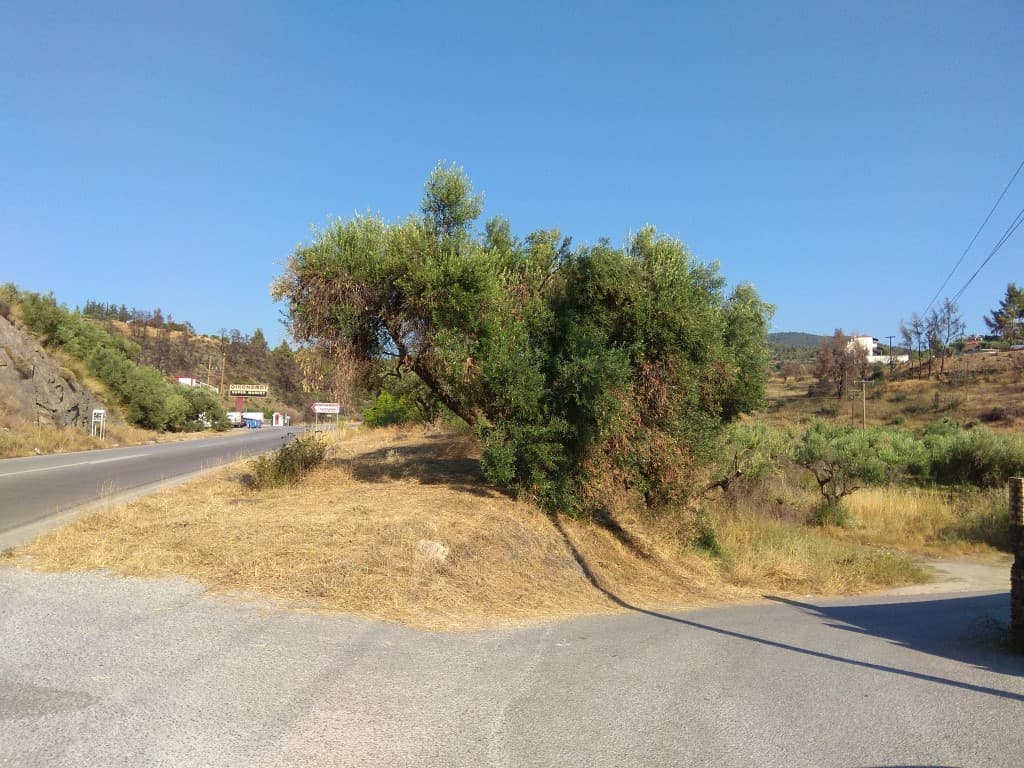 For Sale Land 750 m² in Sithonia, Chalkidiki