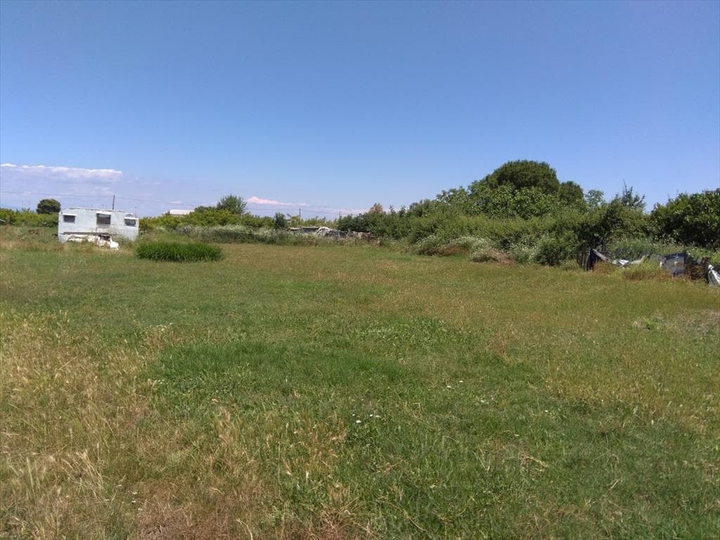 For Sale Land 16800 m² in Athos, Chalkidiki
