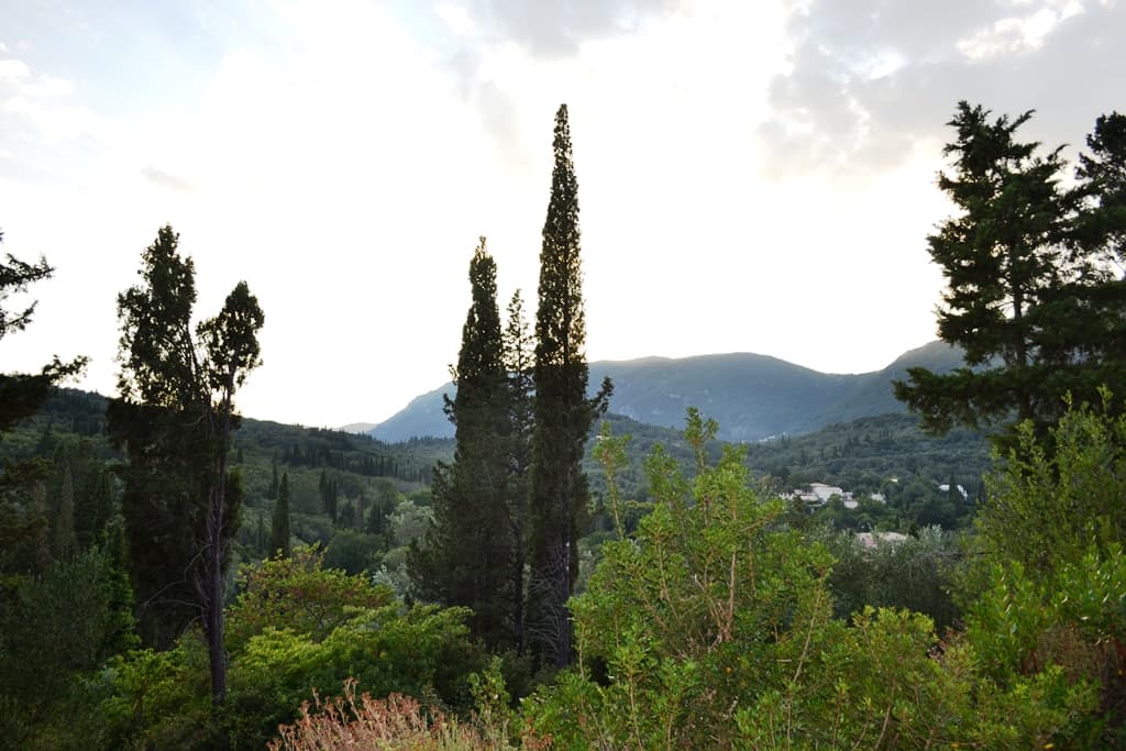 For Sale Land 2800 m² in Corfu