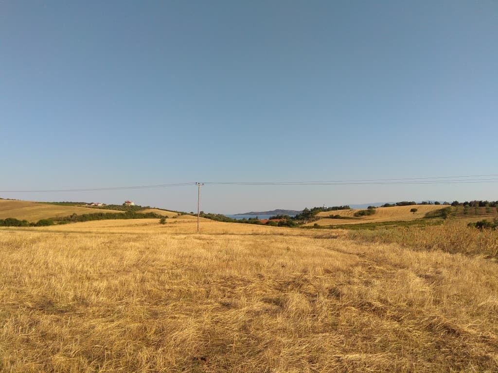 For Sale Land 8453 m² in Athos, Chalkidiki