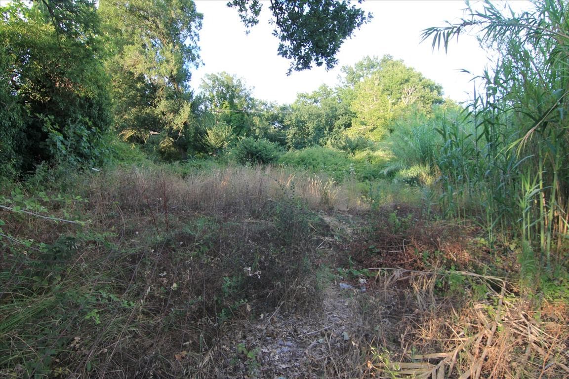 For Sale Land 7000 m² in Corfu