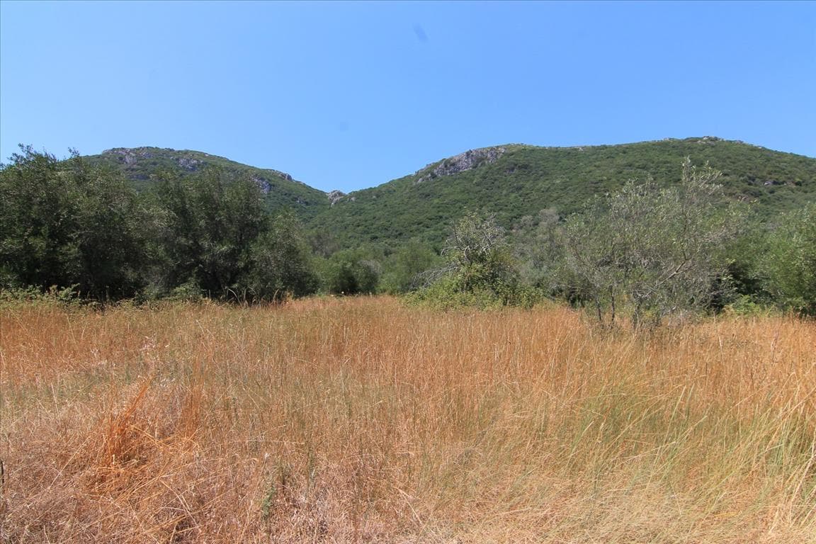 For Sale Land 7000 m² in Corfu