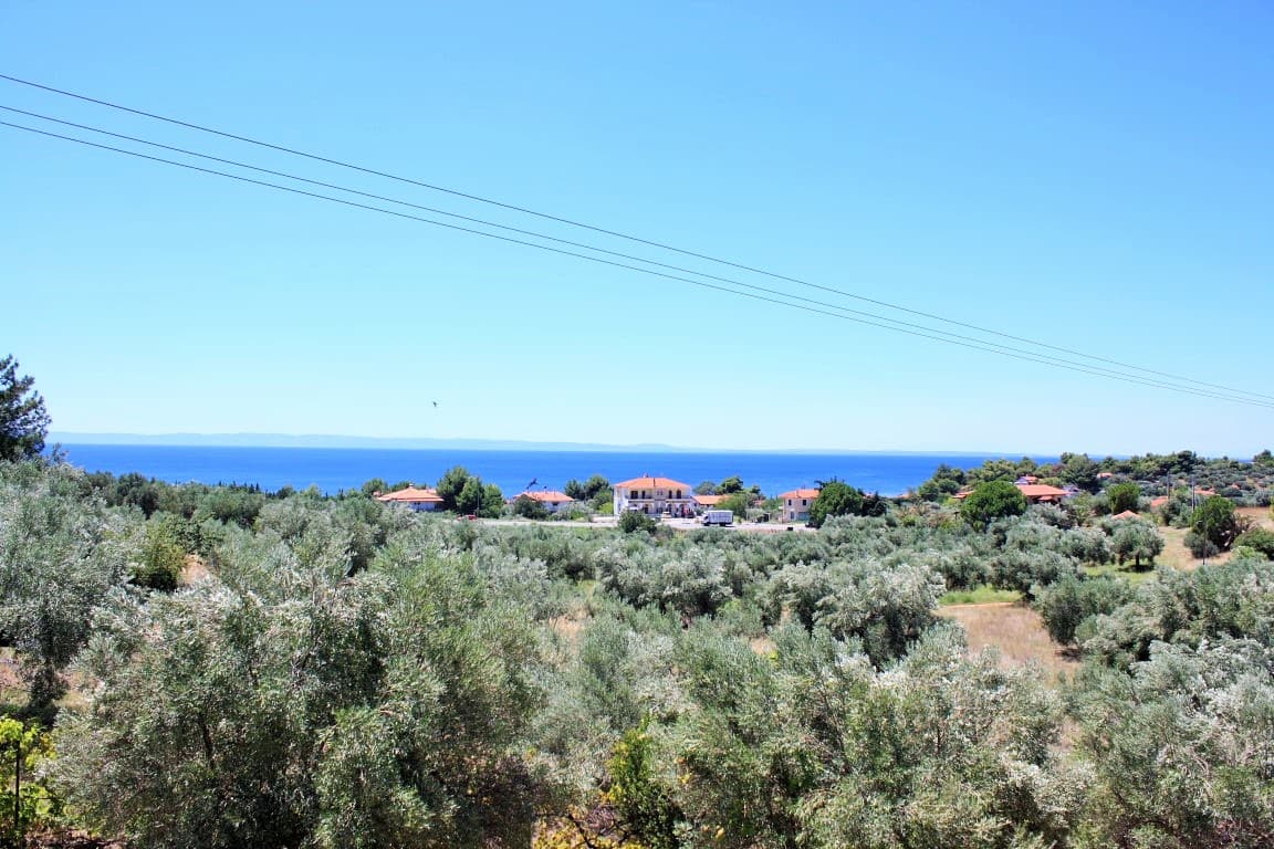 For Sale Land 4000 m² in Sithonia, Chalkidiki