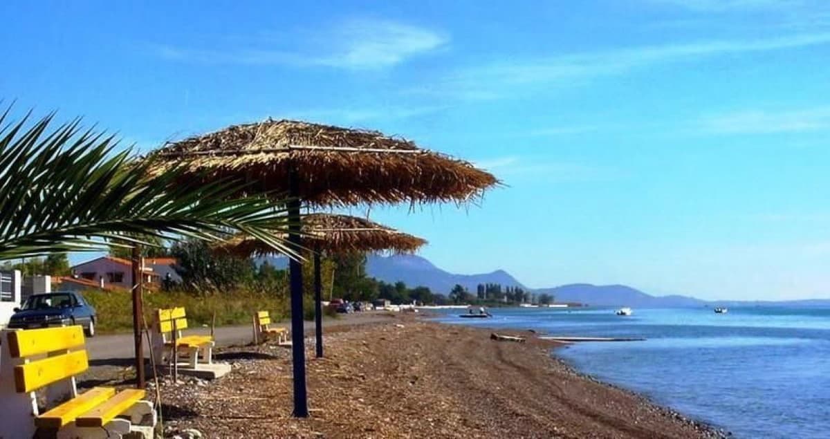 For Sale Land 4047 m² in central Greece