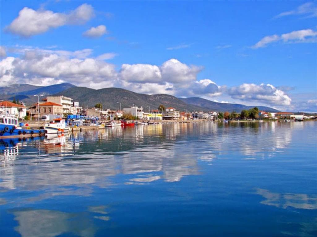 For Sale Land 4329 m² in central Greece