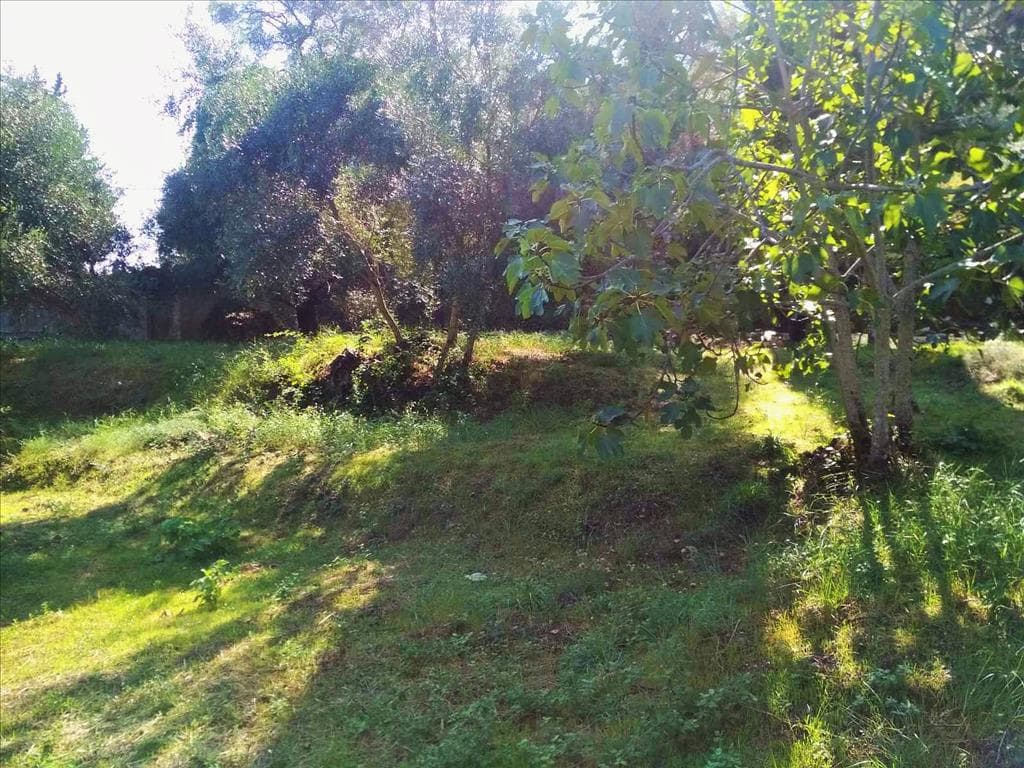For Sale Land 2020 m² in Corfu