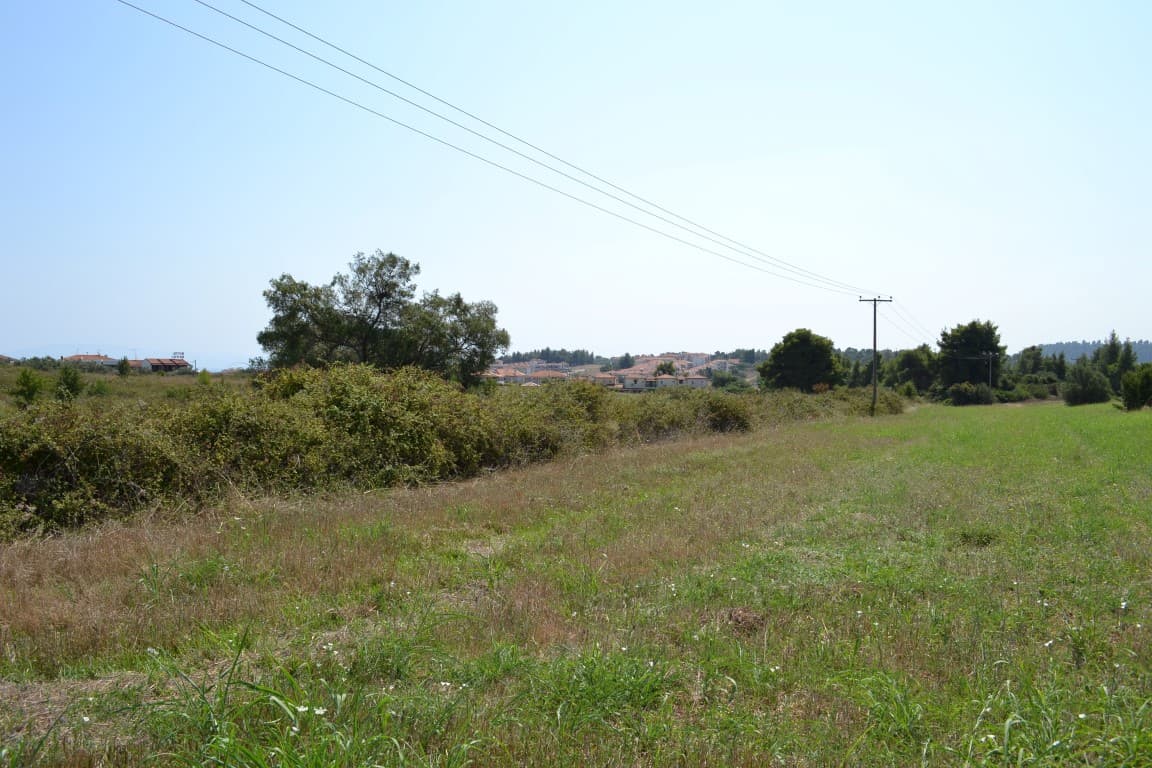 For Sale Land 6000 m² in Kassandra, Chalkidiki