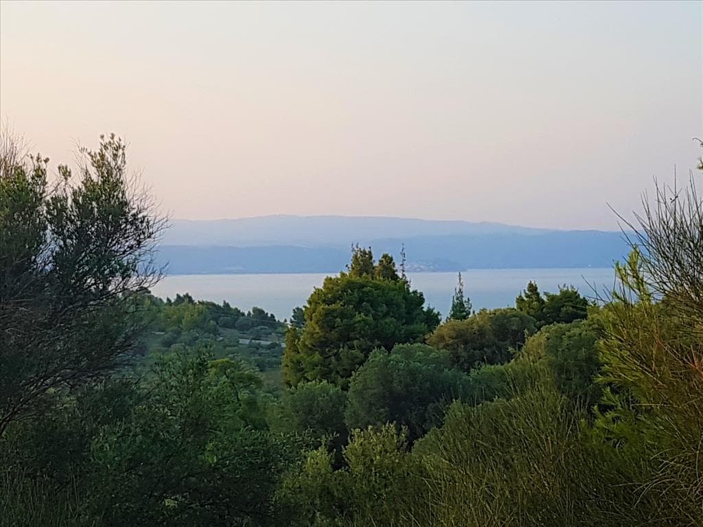 For Sale Land 3350 m² in Sithonia, Chalkidiki