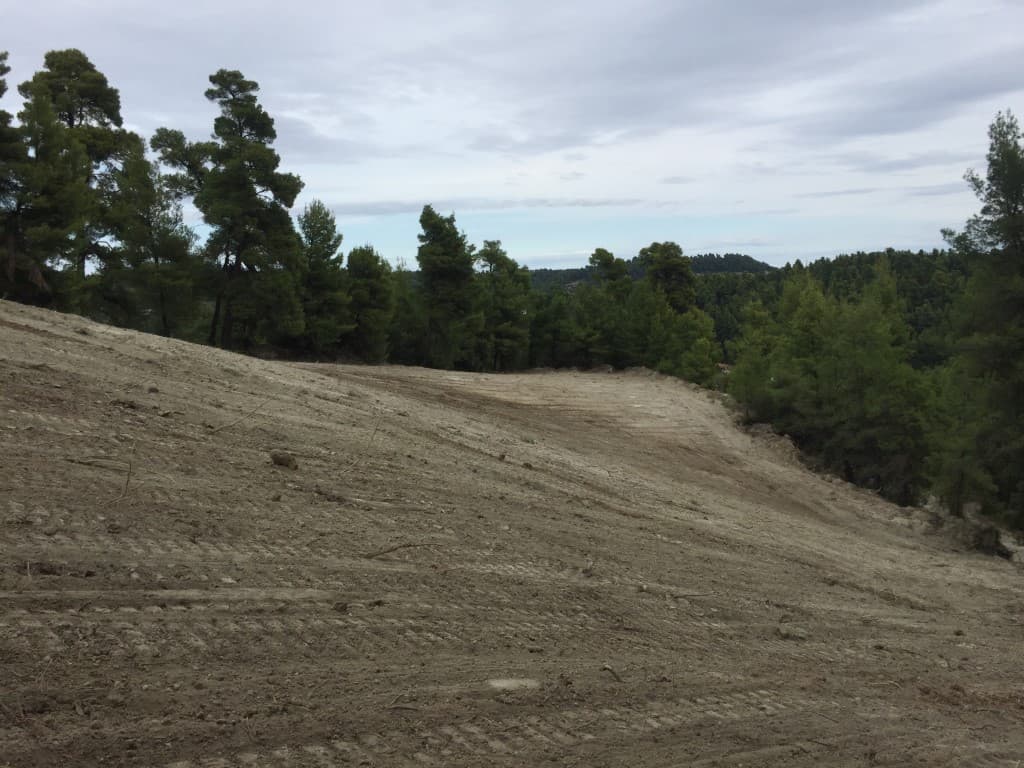For Sale Land 13000 m² in Kassandra, Chalkidiki