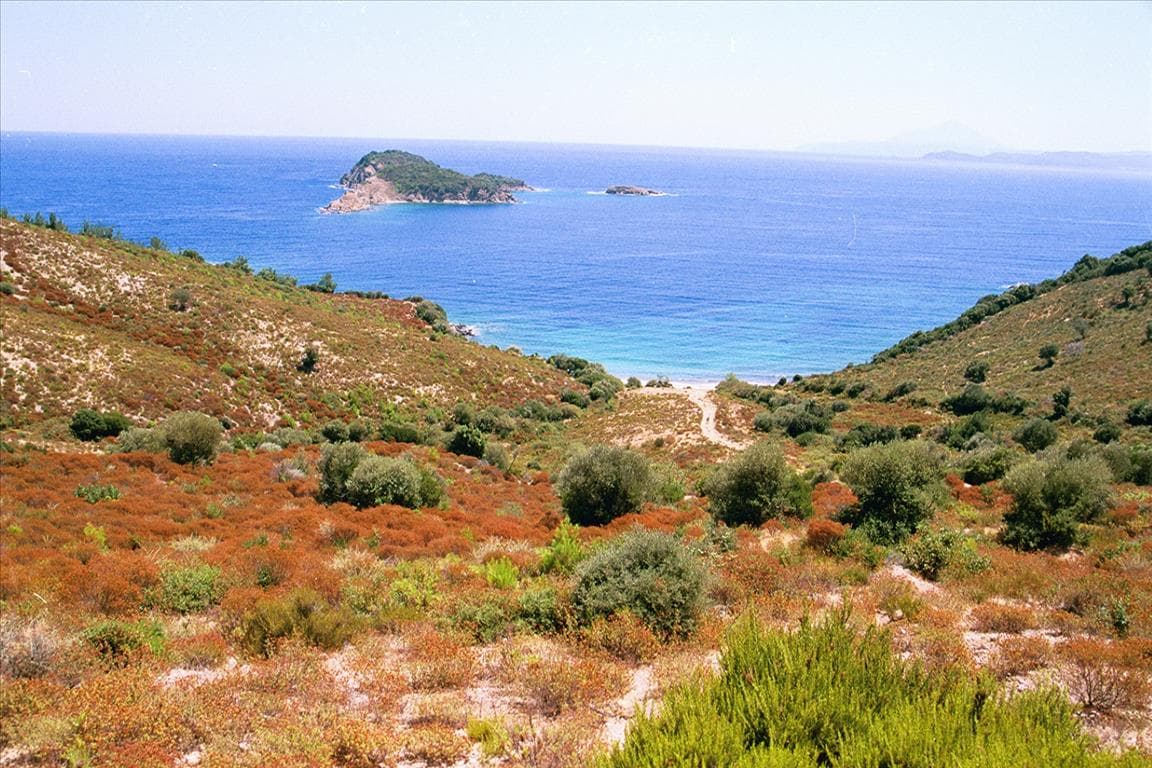 For Sale Land 40687 m² in Athos, Chalkidiki