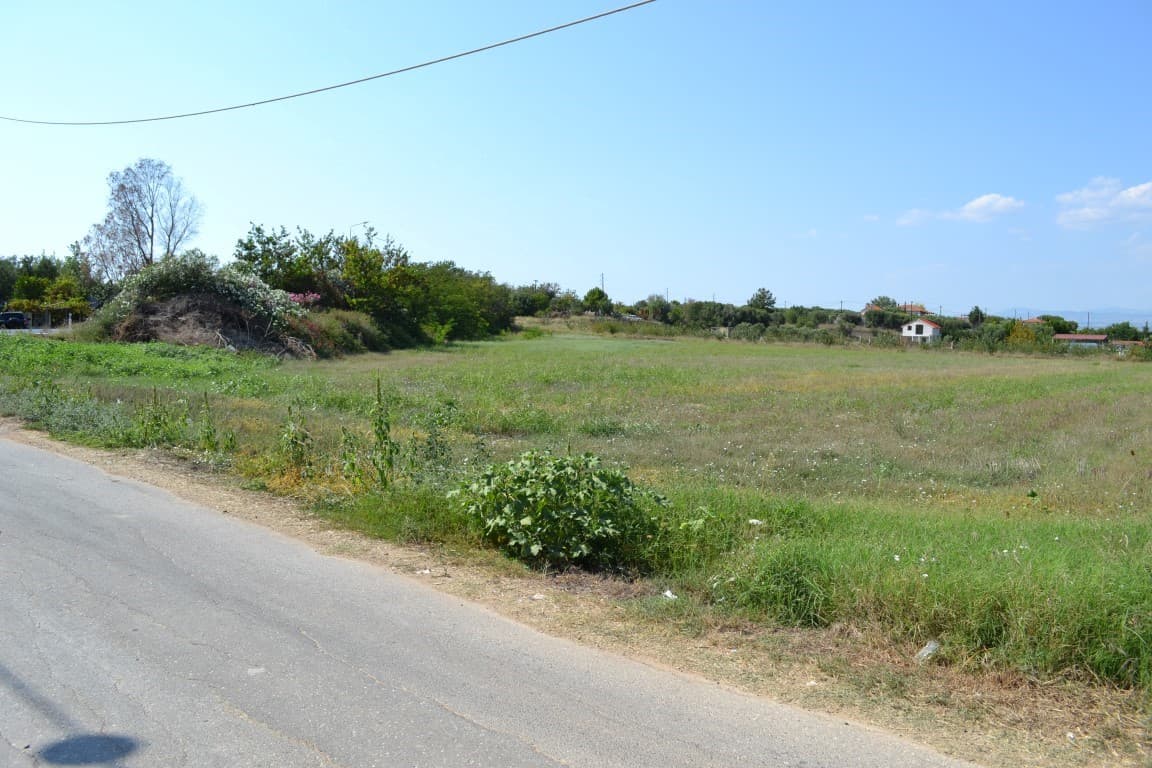 For Sale Land 9521 m² in Kassandra, Chalkidiki