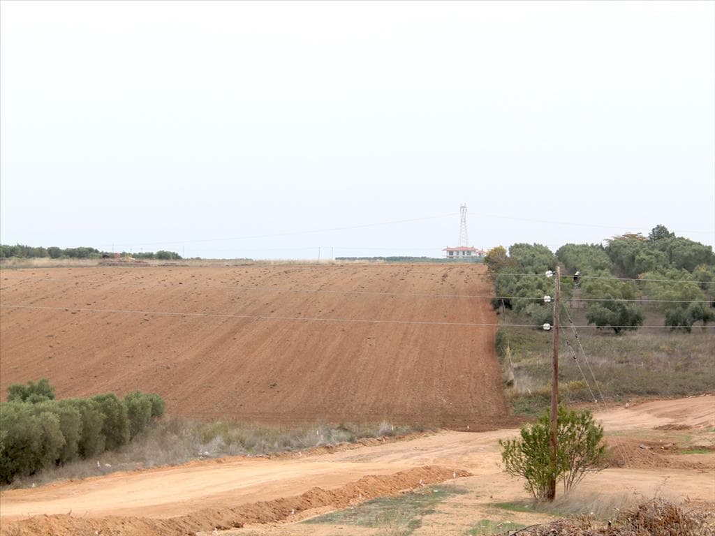 6200 m² Building Plot with Utilities in Kassandra, Chalkidiki