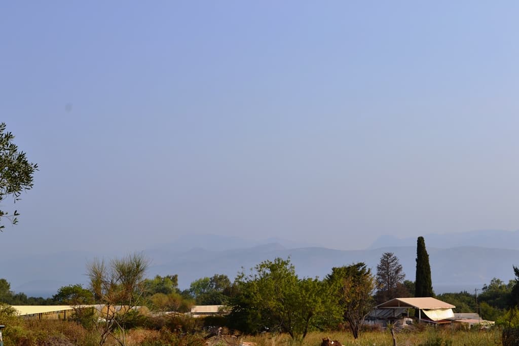For Sale Land 6500 m² in Corfu