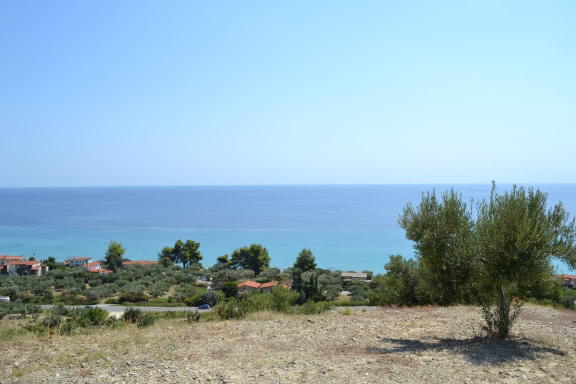 For Sale Land 12300 m² in Kassandra, Chalkidiki