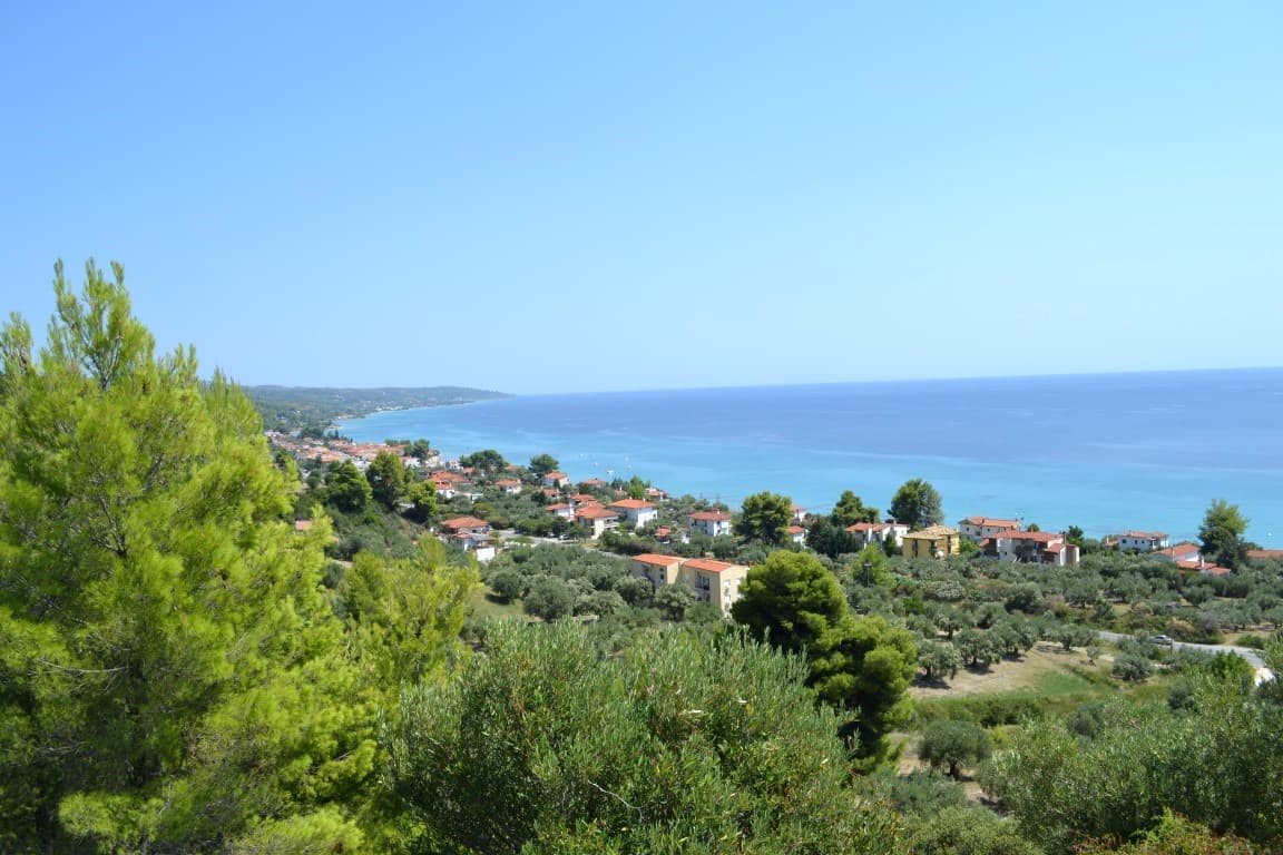 For Sale Land 31000 m² in Kassandra, Chalkidiki