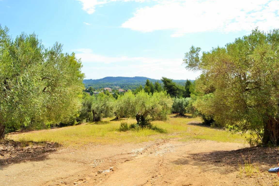 For Sale Land 10000 m² in Kassandra, Chalkidiki