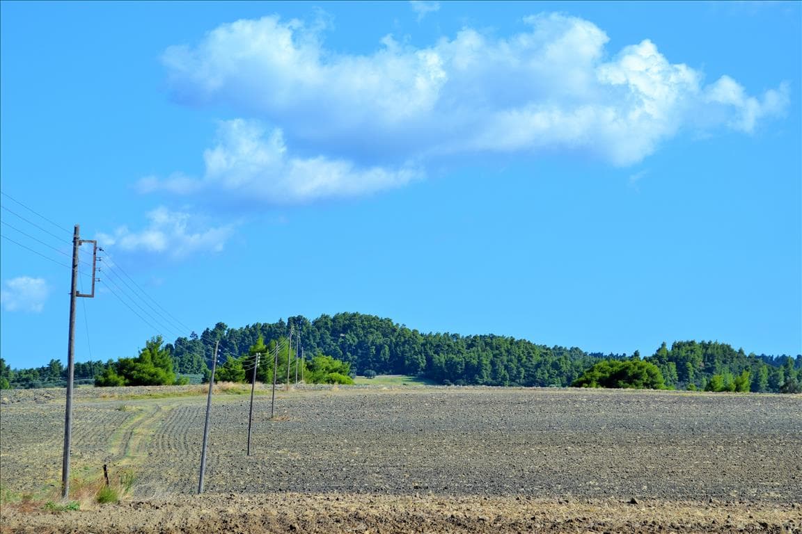 For Sale Land 13000 m² in Kassandra, Chalkidiki