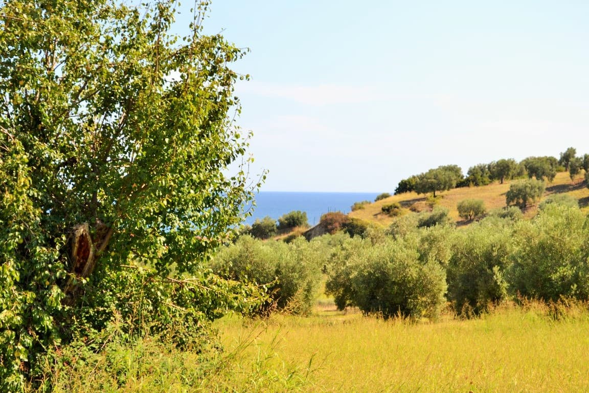 For Sale Land 4013 m² in Kassandra, Chalkidiki