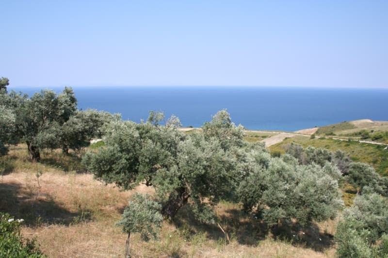 For Sale Land 6250 m² on the Euboea island