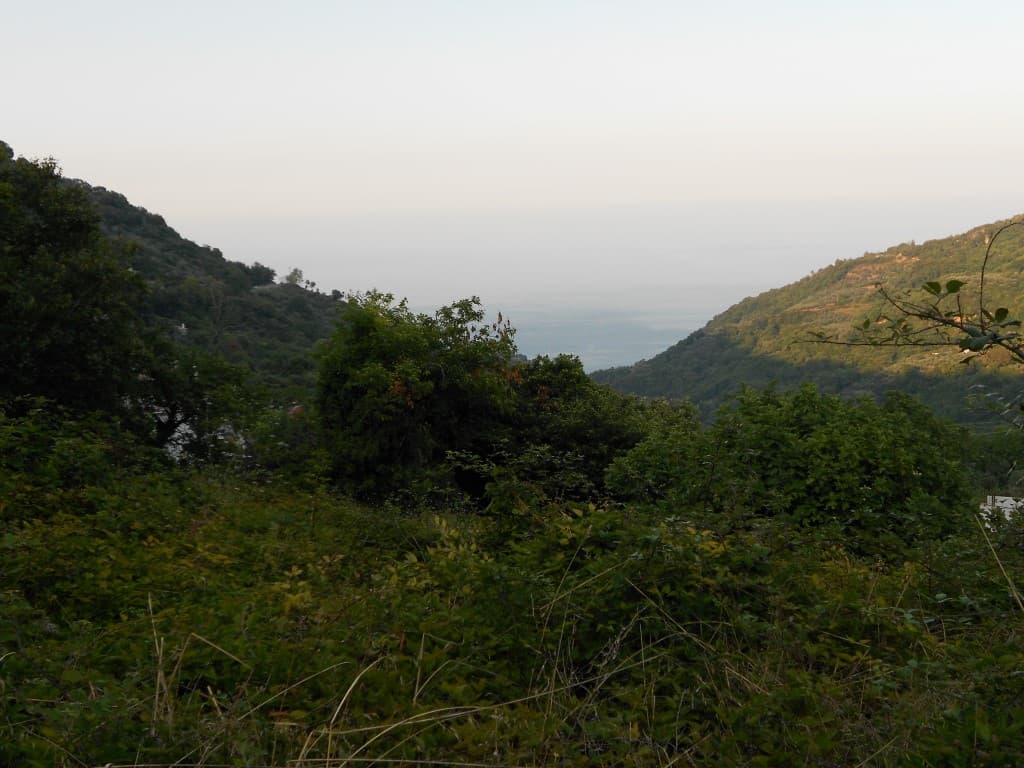 For Sale Land 5000 m² in Volos-Pilio