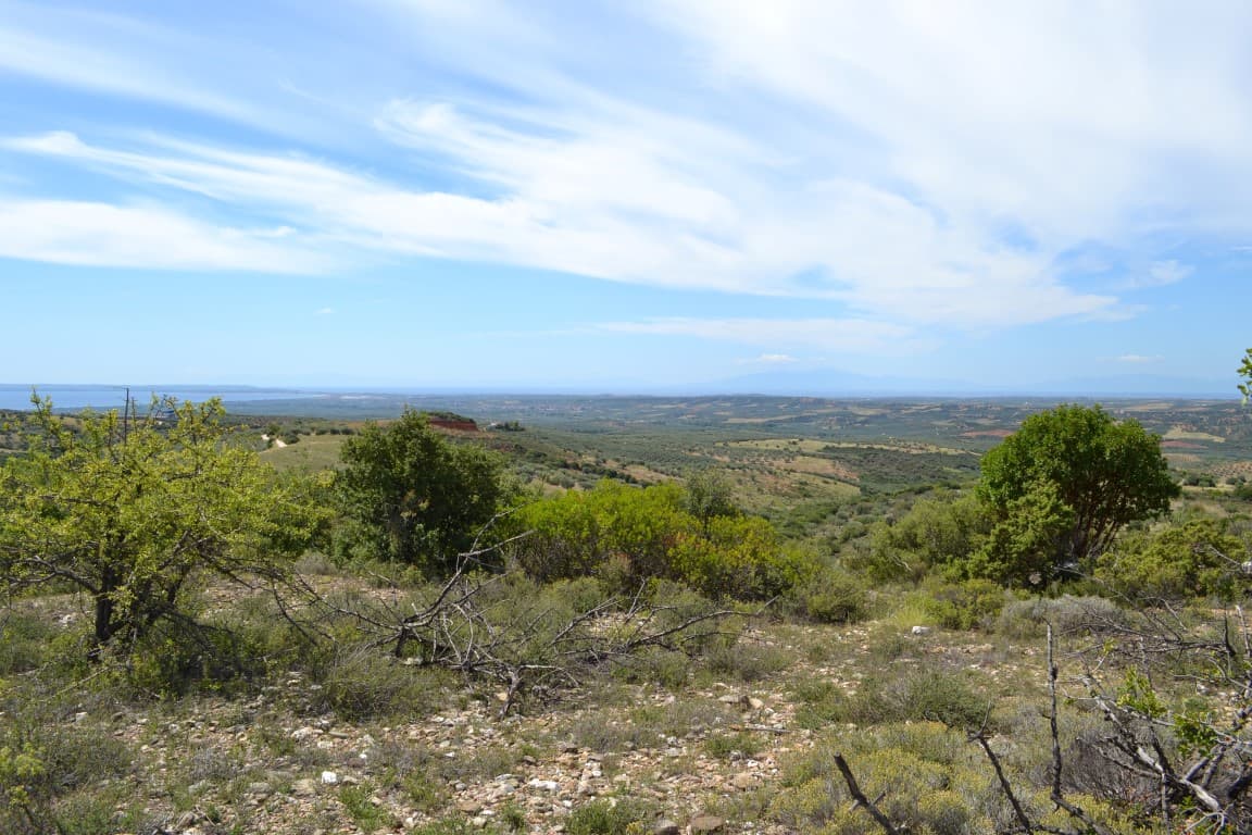 For Sale Land 20000 m² in Chalkidiki