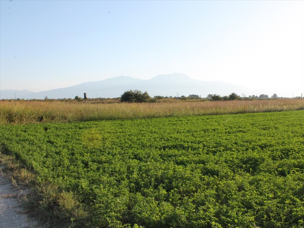 For Sale Land 10000 m² on the Olympic Coast