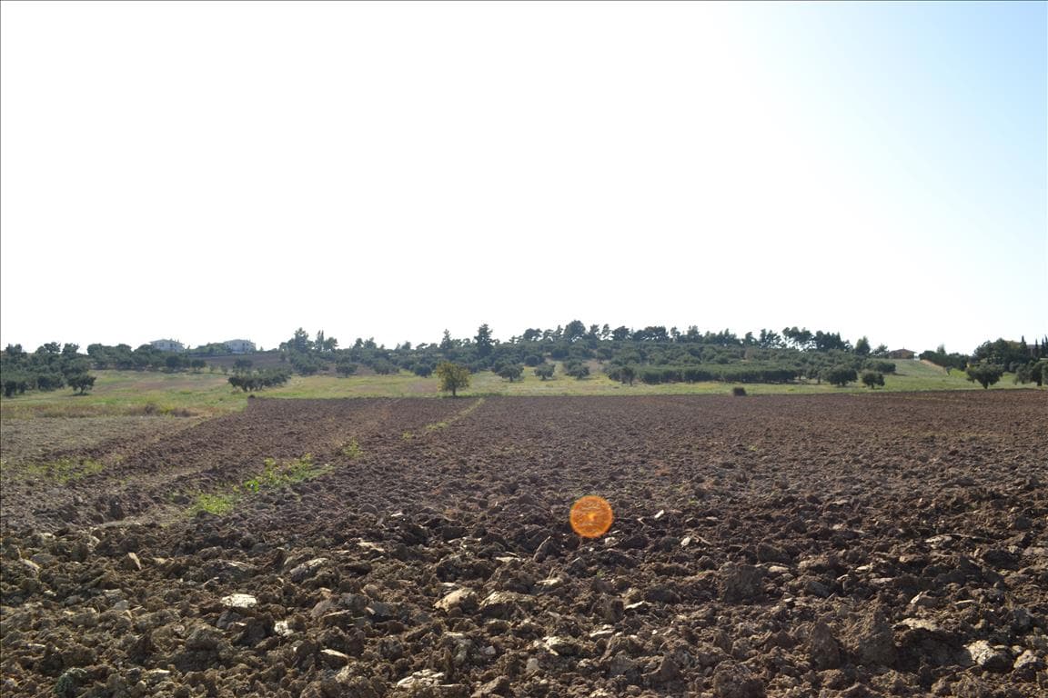 For Sale Land 10000 m² in Kassandra, Chalkidiki