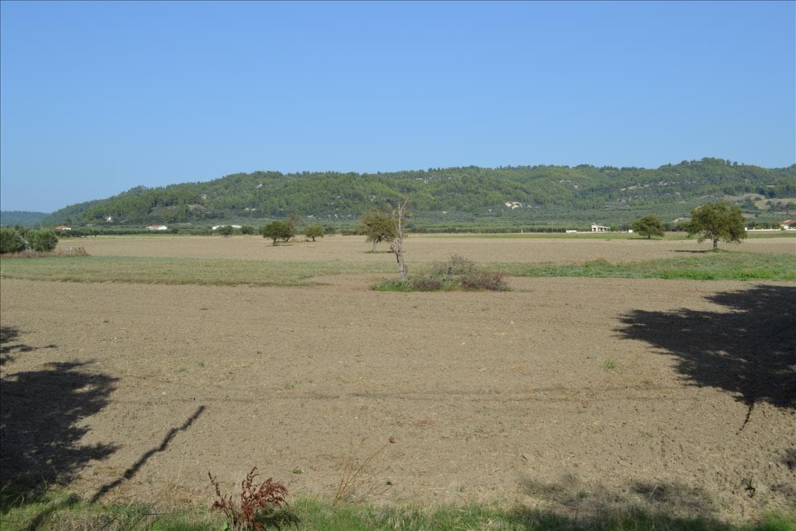 For Sale Land 5500 m² in Kassandra, Chalkidiki