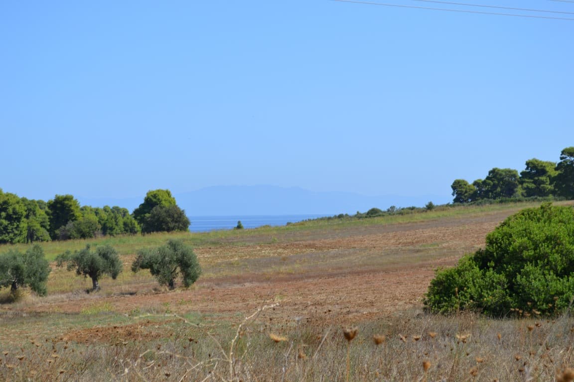 For Sale Land 4380 m² in Kassandra, Chalkidiki