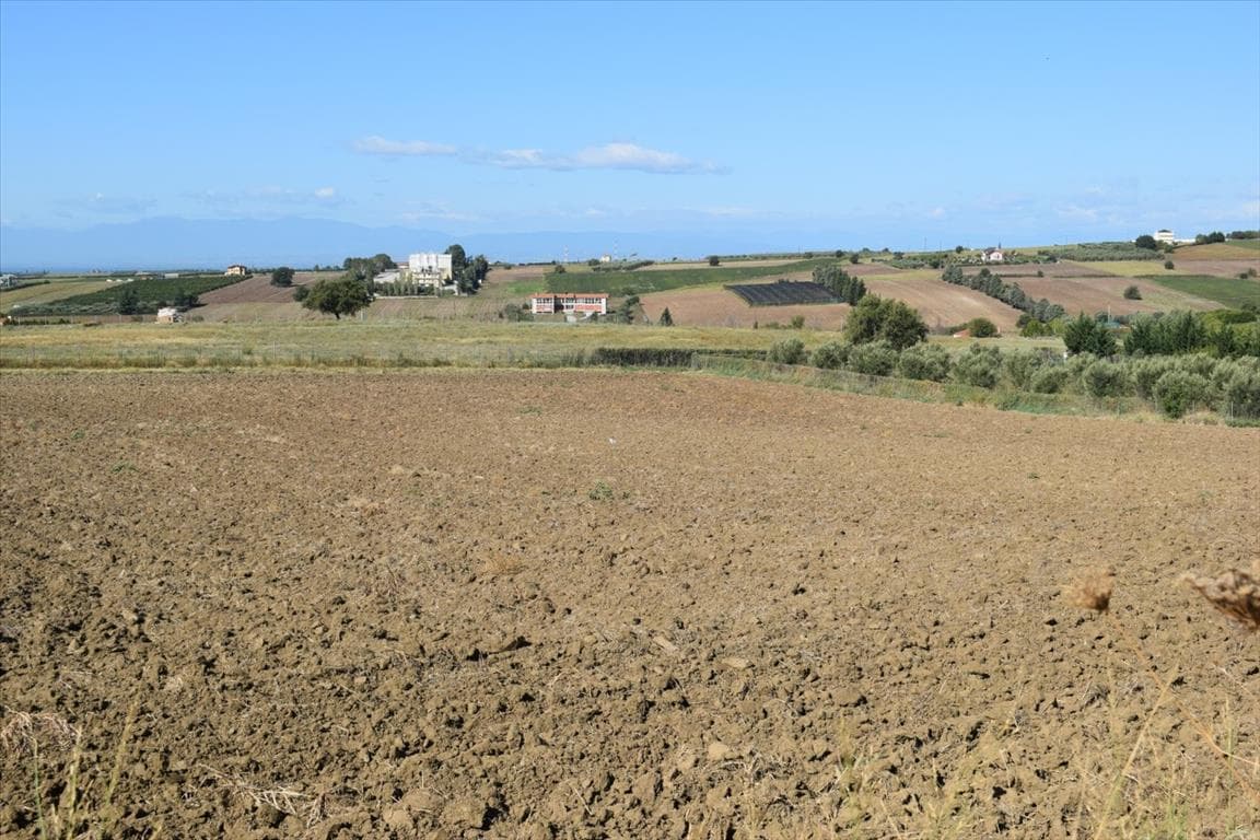 For Sale Land 8000 m² in the suburbs of Thessaloniki