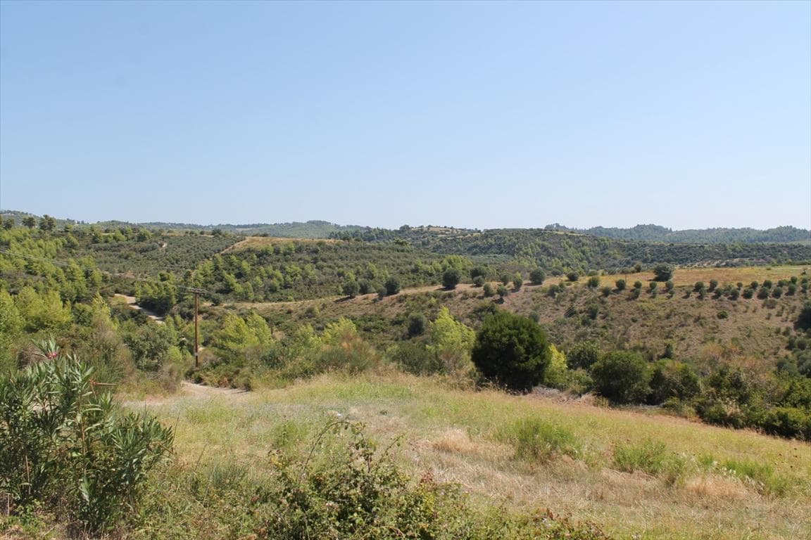 For Sale Land 13000 m² in Kassandra, Chalkidiki
